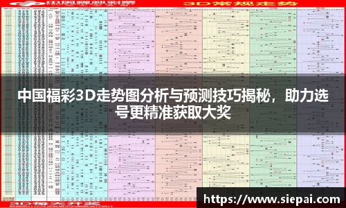 DG视讯