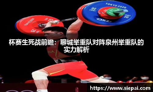 DG视讯官网