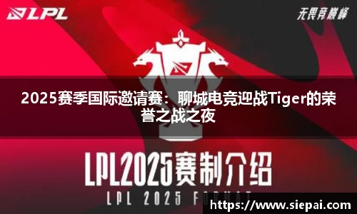 DG视讯官方网站