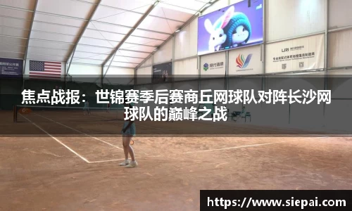 DG视讯