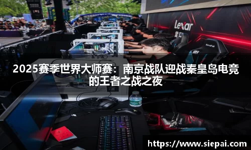 DG视讯