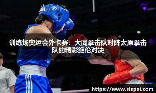 DG视讯官网