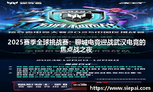 DG视讯官网
