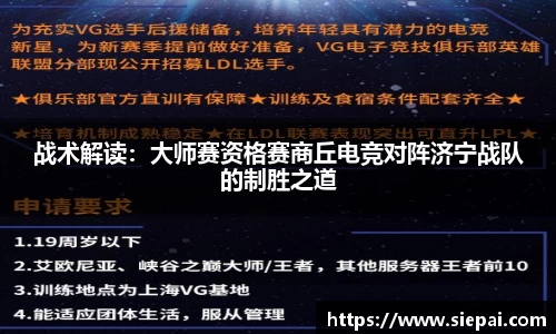 DG视讯APP