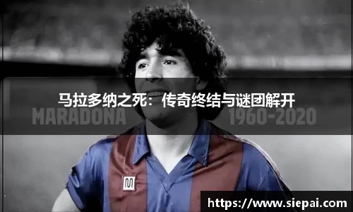 DG视讯官网