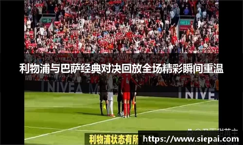 快盈VIII